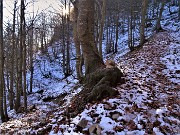 23 Oltre i 1600 m la pirma neve nella faggeta dove il sole non arriva a scioglierla